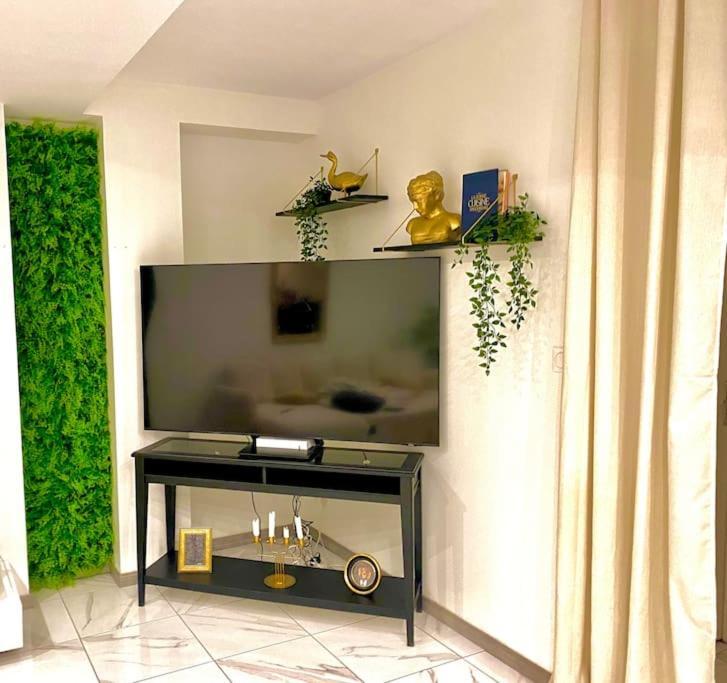 Toulouse Vaste Appartement Tres Lumineux Exteriör bild